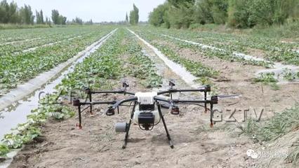 植保无人机助推瓜州现代农业迈向“智能化”